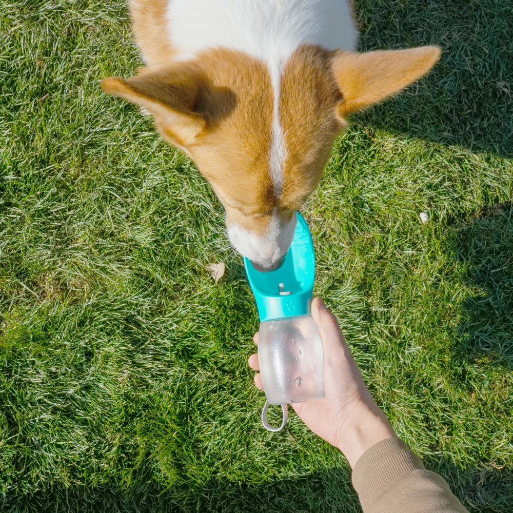 Garrafa de água para cães, 300ml, perfeito para passeios e viagens